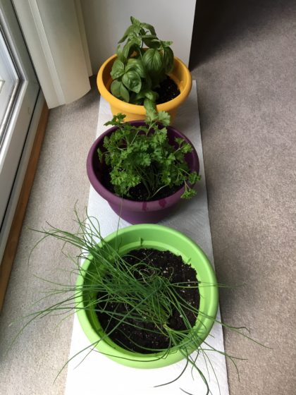 Mary, Edith, and Sybil